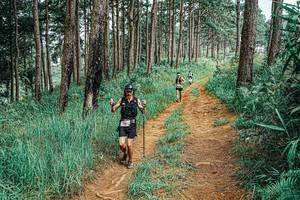 BIB: 
                            <button type="button" onclick="openModal(25679969)" class="btn btn-primary btn-sm float-right btn-popup" data-toggle="modal" data-target=".modal-high-quality">
                        <i class="fas fa-shopping-cart"></i> Add to Cart
                    </button>
                                            <button type="button" onclick="isThisMe(25679969, true)" class="btn btn-success btn-sm float-right btn-popup btn-isme hidden" data-toggle="tooltip" data-placement="bottom" title="นี่คือรูปของคุณใช่ไหม คลิกที่นี่เพื่อเอาเข้าอัลบั้ม">
                        <i class="fas fa-plus"></i> Add to album
                    </button>
                    <button type="button" onclick="isThisMe(25679969, false)" class="btn btn-warning btn-sm float-right btn-popup btn-isnotme hidden">
                        <i class="fas fa-ban"></i> Remove from album
                    </button>